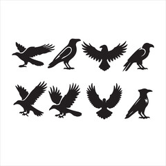 set of silhouettes of birds