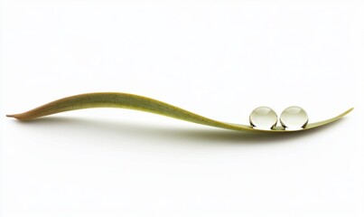 Two water drops on curved green leaf on white, purity, nature