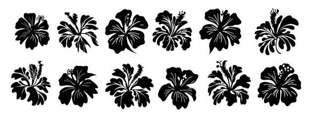 Set of tropical hibiscus flower silhouettes. SVG clipart, cut file, icon, symbol for logo, tattoo, print design. Vector Black outline illustrations isolated on white background