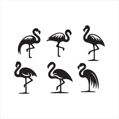 Obraz premium bird set of pink flamingos