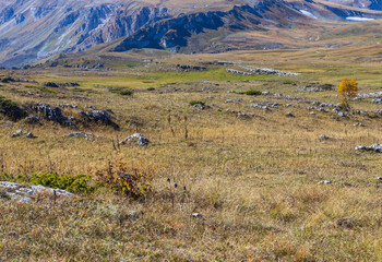 autumn in the mountains, yellowing foothill landscape, the beginning of the autumn period in...