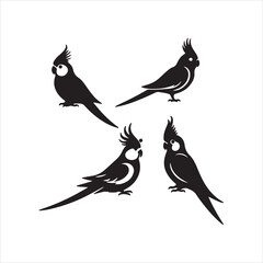 birds on a branch