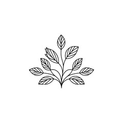Minimalist Botanical Line Art: Leaves and Stems, Elegant Design, White Background