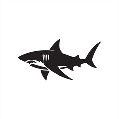 shark vector illustration