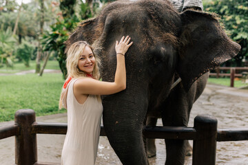 Fototapeta premium beautiful girl with smiling elephant, elephant village, bali