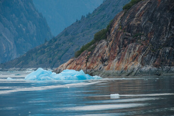 Floating blue ice and green growth among geologic structures at Endicott Arm near Dawes Glacier
