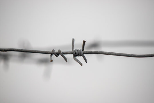 A wire with a barbed end is twisted and bent - Powered by Adobe