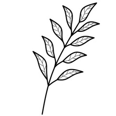 Leaf Doodle, Aesthetic Leaf