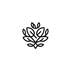 Minimalist Leaf Design Logo, Organic Botanical Element on White