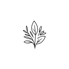 Minimalist Botanical Line Art: Elegant Plant Motif on White