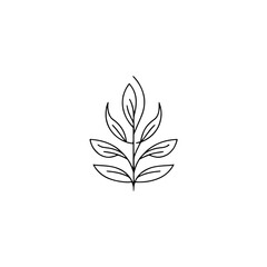 Minimalist Leaf Line Art on White Background, Clean and Modern Design