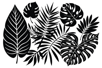  vector silhouettes of tropical leaves. © Abu hamed shah