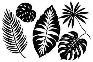  vector silhouettes of tropical leaves.