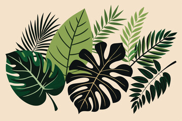  vector silhouettes of tropical leaves.
