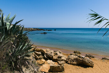 wonderful and relaxing summer view of beach with agaves on clear sea