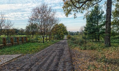 country road in the morning