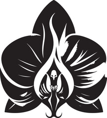 Partially bloomed lily vector