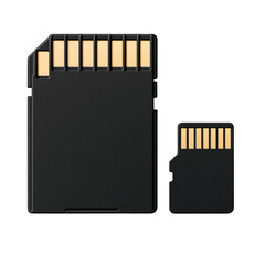 Black SD and microSD cards with gold contacts, close-up on a transpsrent background.