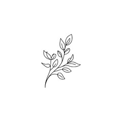 Delicate Line Art Botanical Illustration on White, Minimalist Design