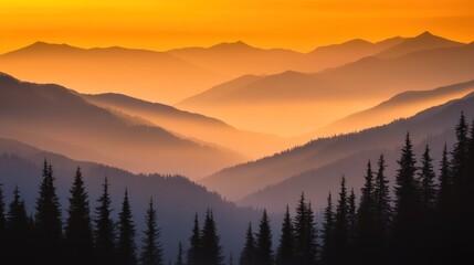 Misty mountain range at sunrise.  Layers of hazy peaks bathed in golden light.  Silhouette of evergreens along the foreground