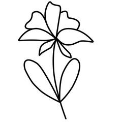 Flower Line Art, Aesthetic Flower
