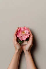 Hands gently holding a pink flower above a blank card, offering a moment of beauty and simplicity.