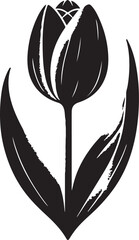 Tulip half open vector