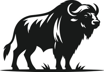 Obraz premium Buffalo silhouette