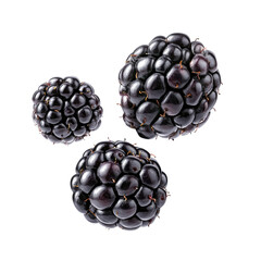 Levitating Fresh Black on transparent background