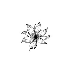 Minimalist Floral Line Art: Black and White Flower on White Background