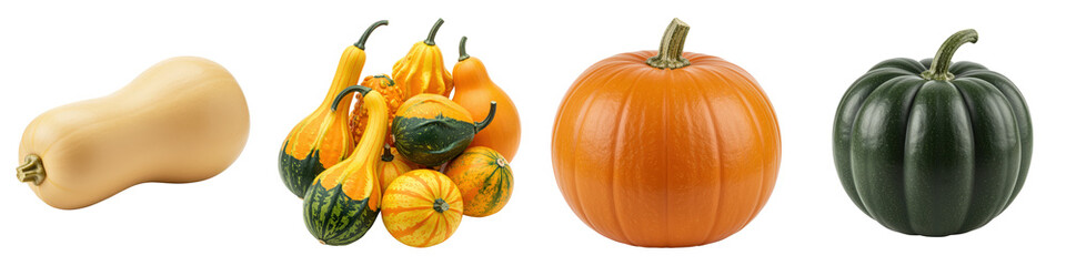 Obraz premium An autumn harvest of gourds and pumpkins.