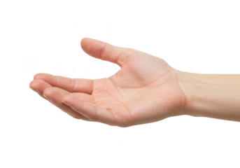 A close-up of a human hand held out with the palm facing up isolated on transparent background