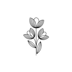 Minimalist Floral Line Art: Abstract Tulip Illustration on White