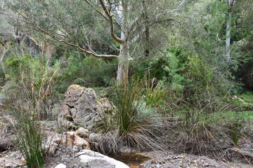 Nature reserve La Muela Cabo Tinoso near town Mazarrone in Spain