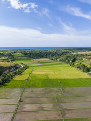 East Sumba, East Nusa Tenggara, Indonesia – 04. 03. 2025 – In the valley between rocky hills, there lies a green rice field in East Sumba 