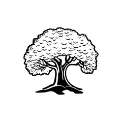 Highly detailed black and white silhouette of a majestic tree with lush foliage and strong roots. Vintage style illustration. Suitable for use in eco-friendly branding, woodworking designs.
