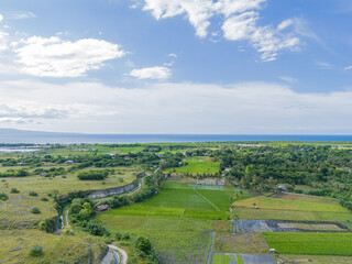 East Sumba, East Nusa Tenggara, Indonesia &ndash; 04. 03. 2025 &ndash; In the valley between rocky hills, there lies a green rice field in East Sumba 