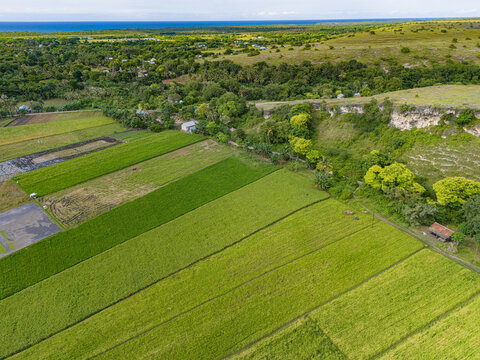 East Sumba, East Nusa Tenggara, Indonesia – 04. 03. 2025 – In the valley between rocky hills, there lies a green rice field in East Sumba  - Powered by Adobe