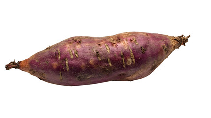 Fresh Sweet Potato Close-Up on White Background - High-Quality Isolated Photo Shot