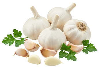 Several whole garlic with papery white skins surrounded by peeled garlic cloves and parsley isolated on transparent background