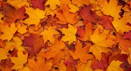 Fototapeta premium Autumn's Ember Glow AI Generated