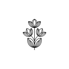 Minimalist Line Art Floral Illustration, Modern Botanical Design