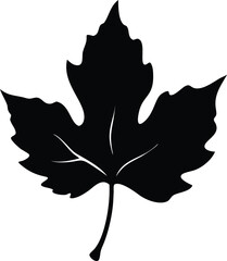 Naklejka premium Maple and Oak Leaf Silhouettes in Autumn Design