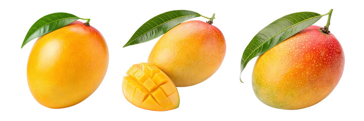 Three ripe mangoes with leaves, one sliced.  Fresh, juicy, tropical fruit.