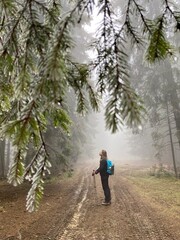 young woman walking in the woods