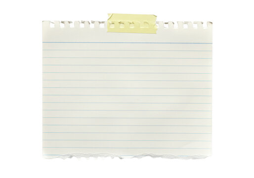 A piece of lined notebook paper with torn bottom and top edges isolated on transparent background