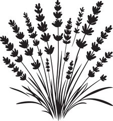 Lavender flower bouquet