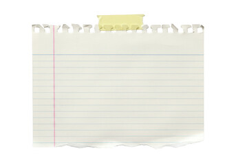 A piece of lined notebook paper with torn bottom and top edges isolated on transparent background