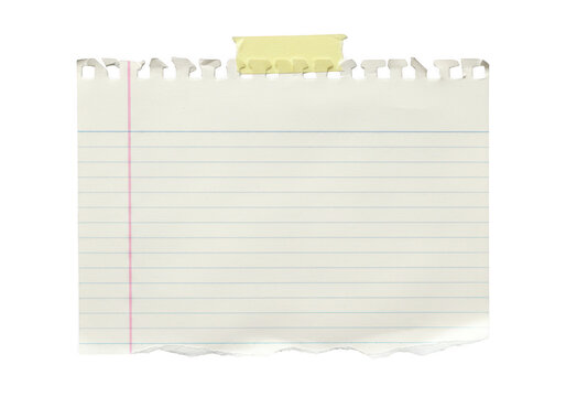 A piece of lined notebook paper with torn bottom and top edges isolated on transparent background