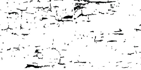 The Broken Earth: An In-Depth Exploration of Cracked Soil and Parched Land, Where the Forces of Nature Weave Together a Tale of Endurance, Climate Change, and the Unstoppable Flow of Time"